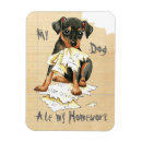 Search for pin magnets Miniature pinscher