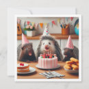 Search for excited Birthday