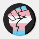 Search for tran magnets Flag