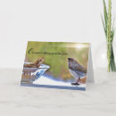 Search for funny brother birthday cards Sister