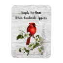 Search for appears magnets Red bird