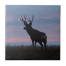 Search for mule tiles Deer