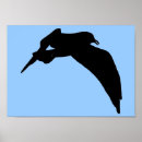 Search for gull posters Flying