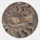 Search for fossil stickers Shell