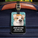Search for corgi luggage tags Puppy