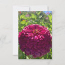 Search for rosy cards Pink