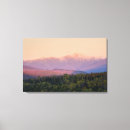 Search for foliage canvas prints Woodland