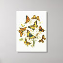 Search for vintage insect art Yellow