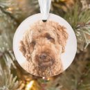 Search for mixed breed dog christmas tree decorations Cute