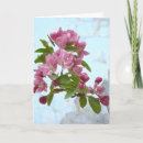 Search for peach blossom cards Flower