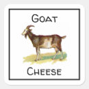 Search for cheese stickers Goat
