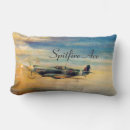 Search for spitfires Aircraft
