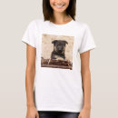 Search for german shepherd tshirts Cute