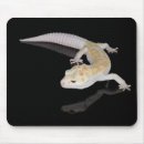 Search for gecko mousepads Wild