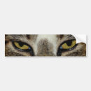 Search for predator bumper stickers Cat