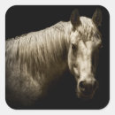 Search for black and white horse stickers Western