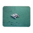 Search for pacific island gifts Blue