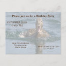 Search for waterfowl invitations Birds