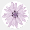 Search for light round stickers Pretty