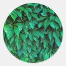Search for green background stickers Plant