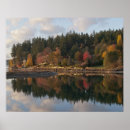 Search for deciduous posters Colour