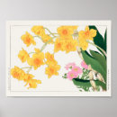 Search for dendrobium Plants