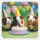 Search for guinea stickers Pig