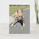 Search for funny tennis cards Dog