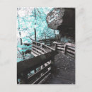 Search for boardwalk postcards Photography