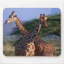 Search for neck electronics Zoo