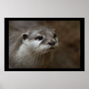 Search for clawed posters Otter
