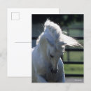 Search for backlit postcards Grey
