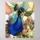 Search for blue peacock bird posters Wildlife