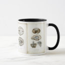 Search for anatomy mugs Psychology