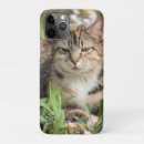 Search for brindle iphone cases Pet