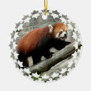 Search for red panda christmas tree decorations Wildlife