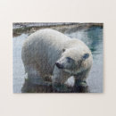 Search for polar bear puzzles Fun