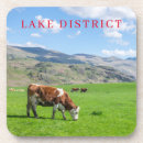 Search for district barware Outdoors
