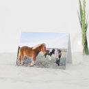 Search for iceland cards Ranch