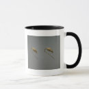 Search for dynasty mugs Chinese