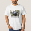 Search for australian bird tshirts Parrot