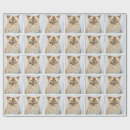 Search for portrait wrapping paper Cat