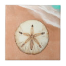 Search for sand dollar tiles Seashell