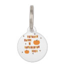 Search for nice pet supplies Autumn