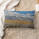 Search for aspen cushions Mountains