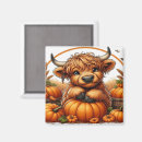 Search for cow magnets Autumn