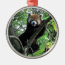 Search for animal premium christmas tree decorations Nature