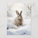 Search for rabbit painting postcards Vintage