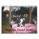 Search for goat calendars Nigerian