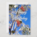 Search for australia birthday invitations Flowers